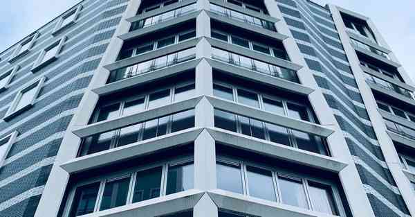 外国语单招大数据的行业文章