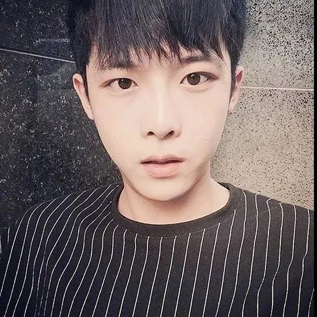 莘发苑启