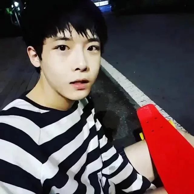 索娴彩琴
