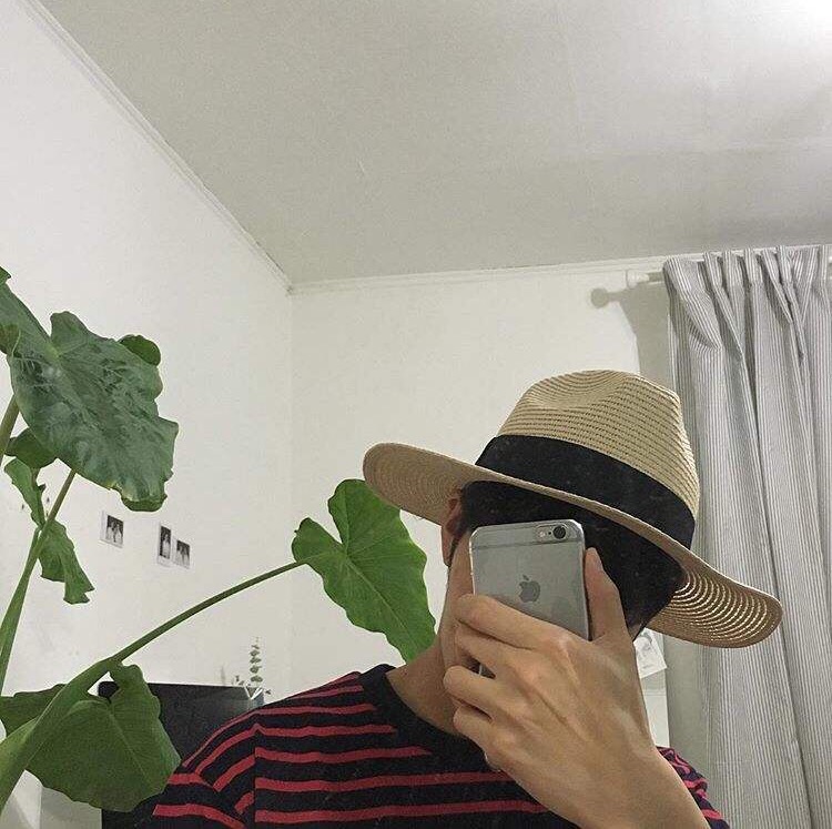 盛桂航凤
