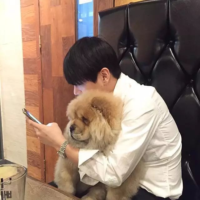 董良风荣