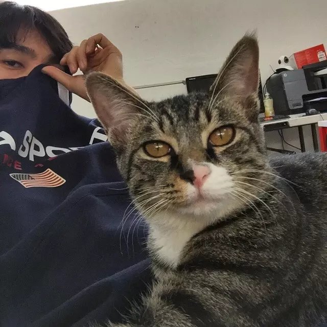 葛达冠丹