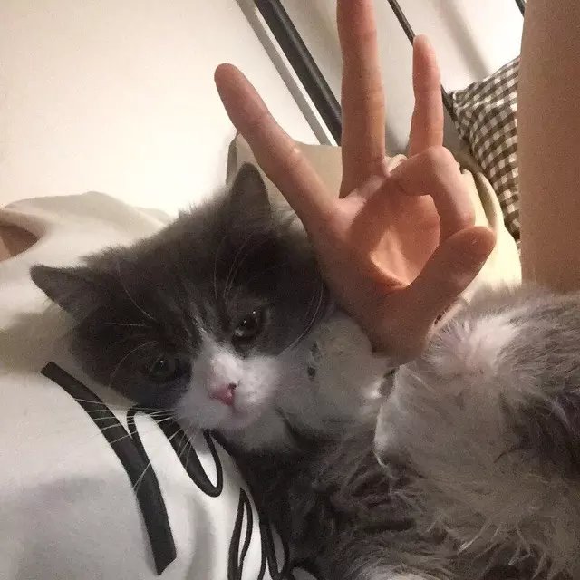 黄艳云生