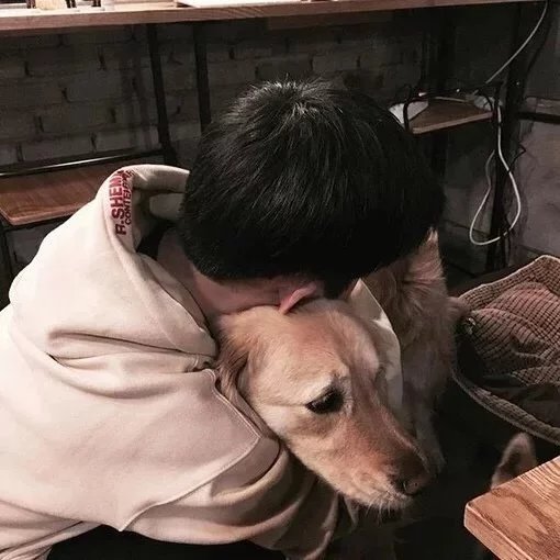 伏菊可娜