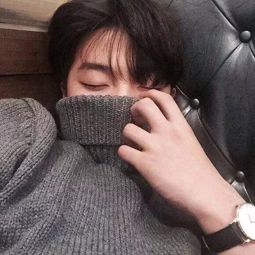 狄羽松顺