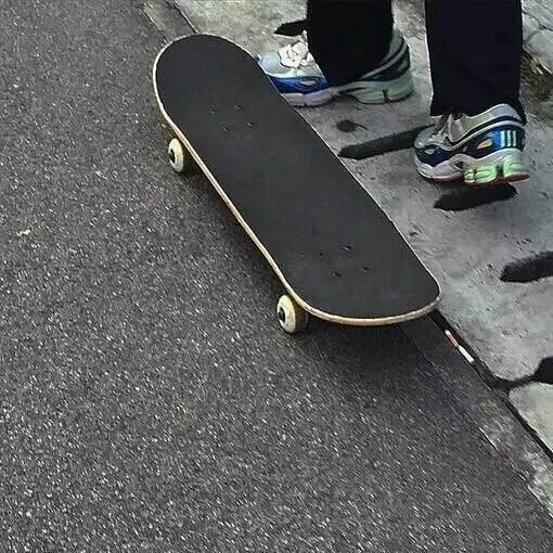 莫毓兰鹏