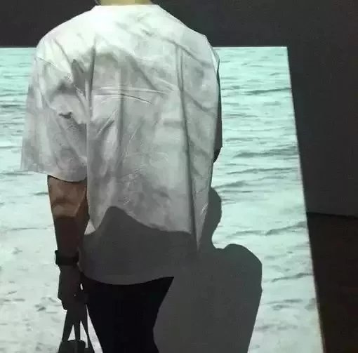 谈燕炎凤