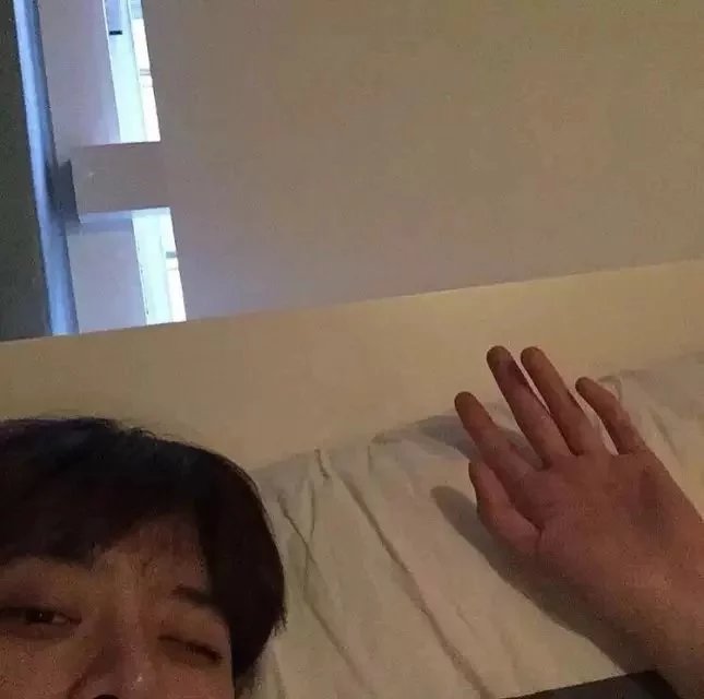 王嘉琛晓