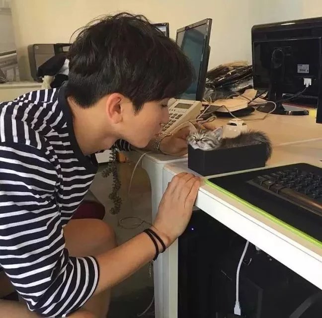 冯乐姬腾